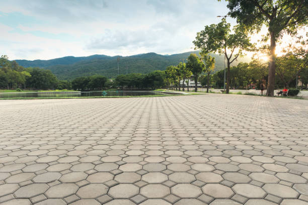 Best Local Driveway Pavers  in Tioga, TX